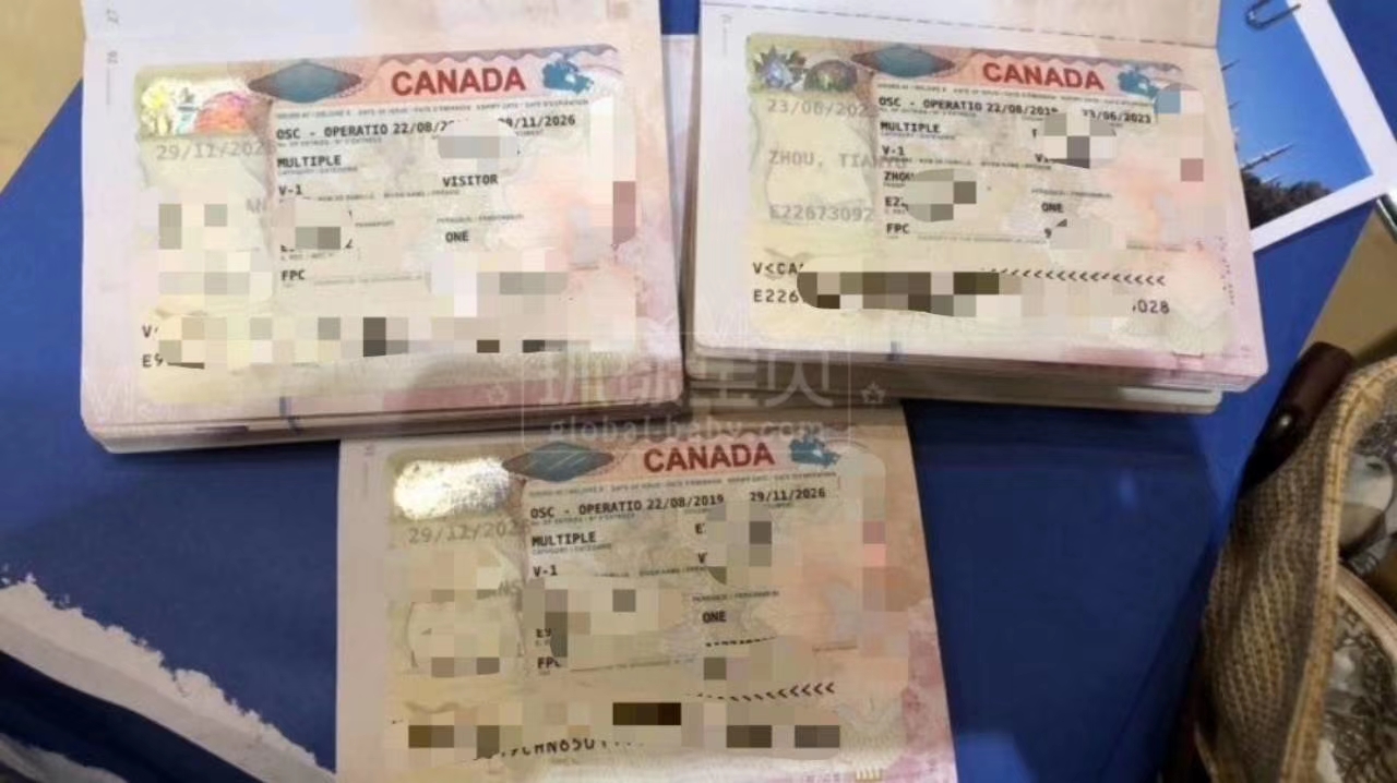 关于加拿大生子签证的一些疑惑！